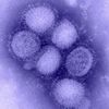ERs Continue To See Rise In Swine Flu-Concerned Citizens